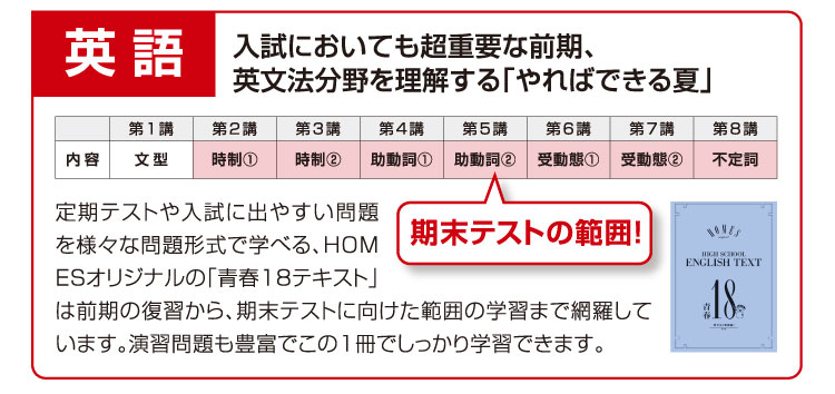 英語:入試においても超重要な前期、英文法分野を理解する「やればできる夏」