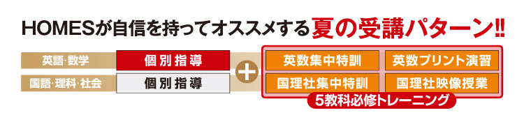 HOMESが自信を持ってオススメする夏の受講パターン!!